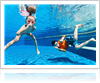 Pool Safety Features by Deep Blue Pools and Spas
