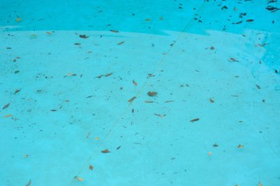 Common Causes of Cloudy Pool Water