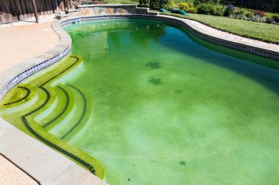 Tips to Troubleshoot Common Pool Problems